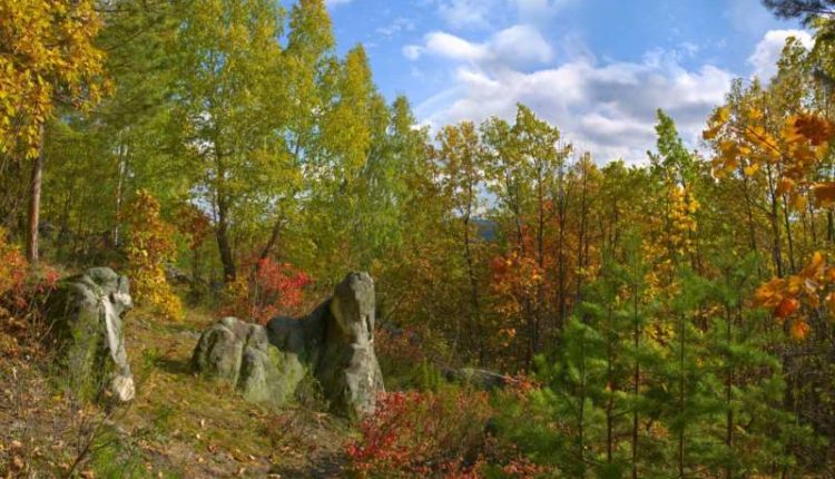 осень