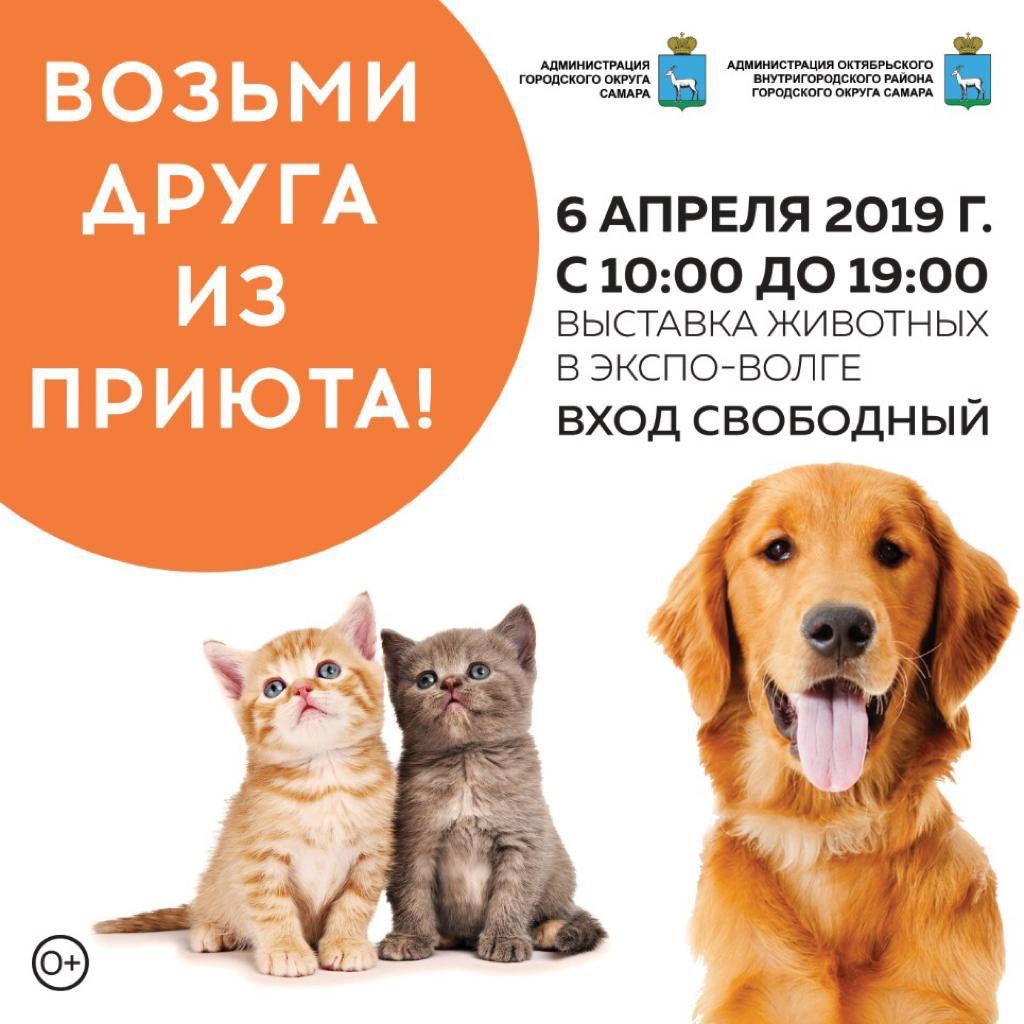 Не покупай, приюти!