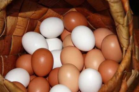 Твердый белок, переваренный желток. 9 ошибок при варке яиц