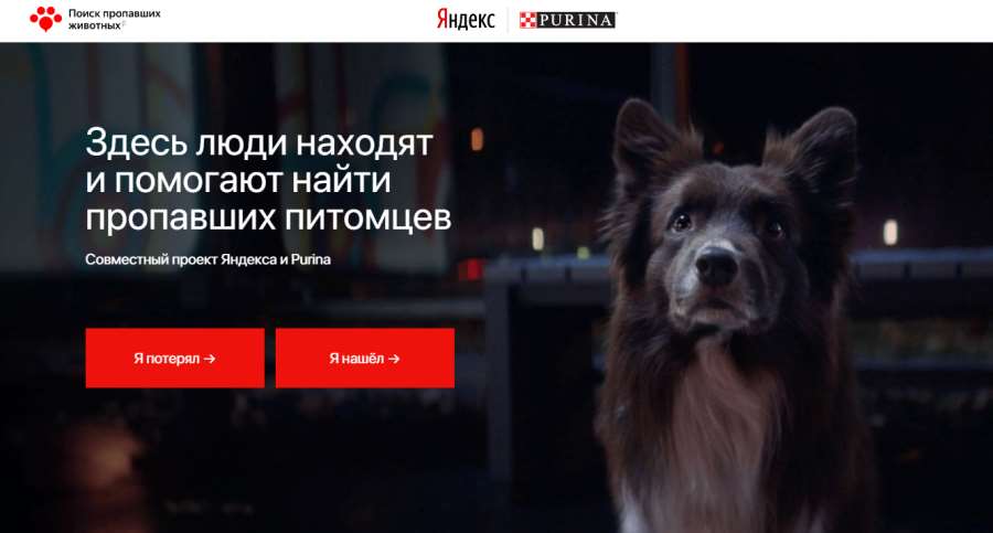 поиск пропавших питомцев