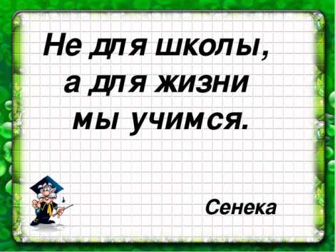 Учимся для жизни. Не для школы а для жизни мы Учимся. Не для жизни а для школы Учимся Сенека. Сенека мы Учимся увы для школы а не для жизни.