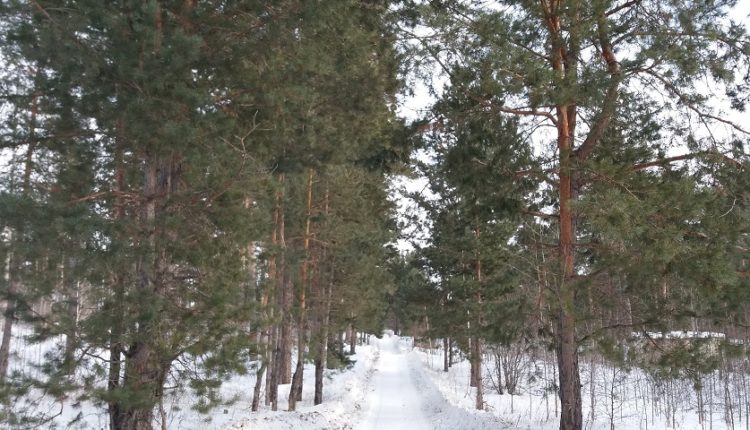 за взятку