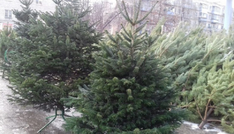 купить елку