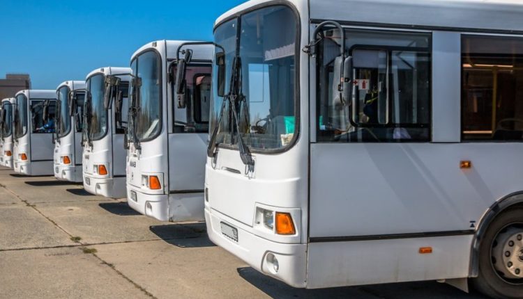 маршруты автобусов