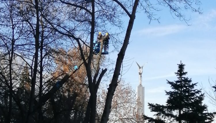 ветра