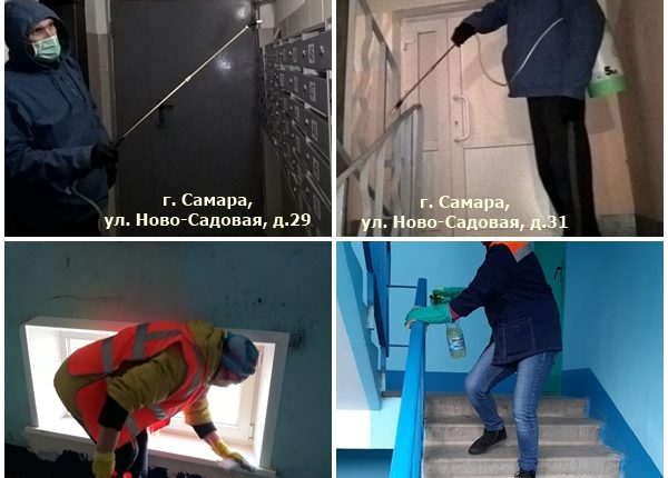 отчет о работе