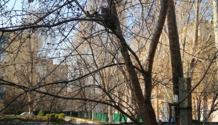 самоизоляция