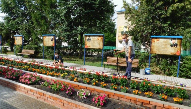 трудоустройство школьников