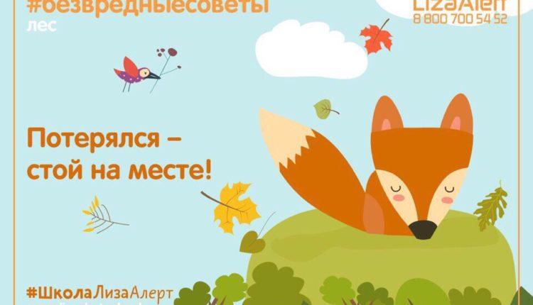 «Школа «ЛизаАлерт»
