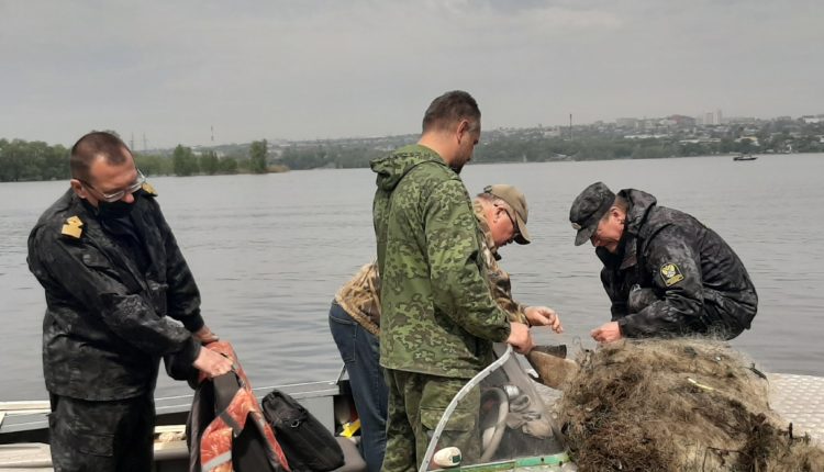 экологическая акция