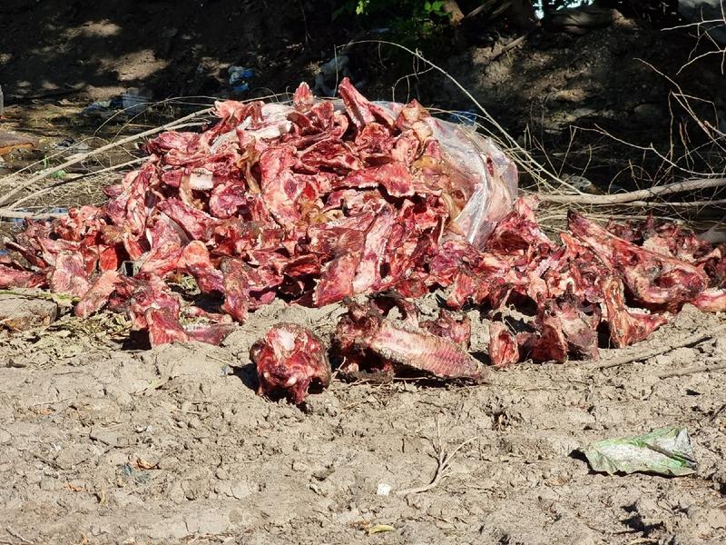 Кучу останков обнаружили на Южном проезде в Самаре Отсюда: https://www.syzran-small.ru/news-68999