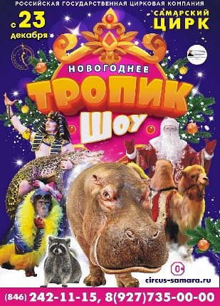 цирковое